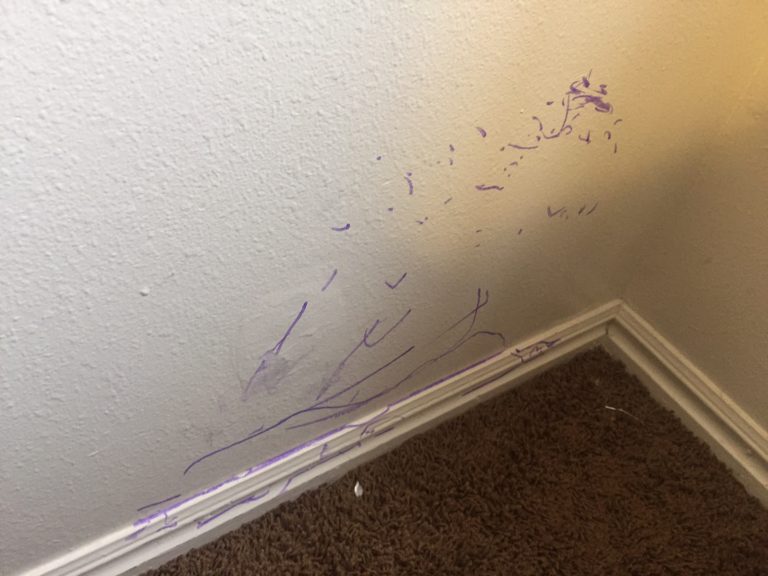 Removing Marker Off Your Wall Easy Recipe & Tips Home Faith Family