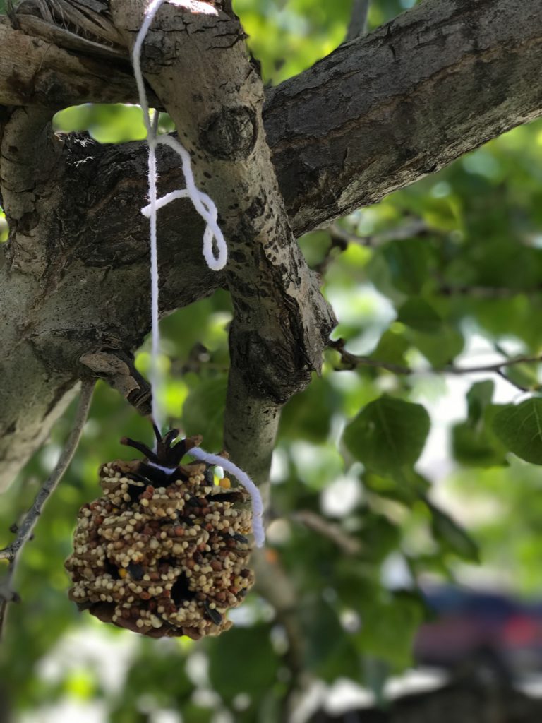 You are going to LOVE this easy crafts for kids bird feeder tutorial. This is the ultimate kid friendly craft. (Brought to you by the Dad Craft Series).