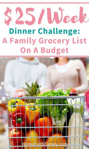 You can feed your family healthy meals on a budget. I'll show you my family grocery budget and show how I fed my family of 5 for only $25 in one week. | Family grocery list on a budget | Click to read. #groceryshopping #feedingfamily
