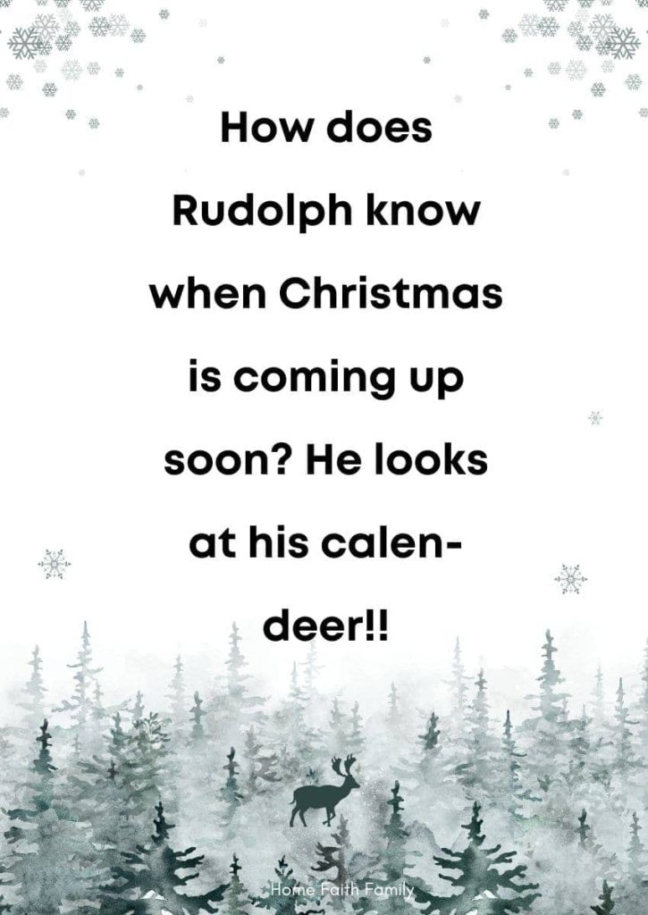 Best dad jokes for his christmas wishes.