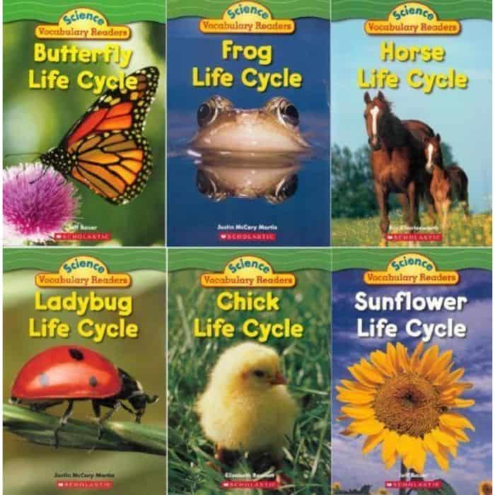 Butterfly life cycle and other animal life cycles.