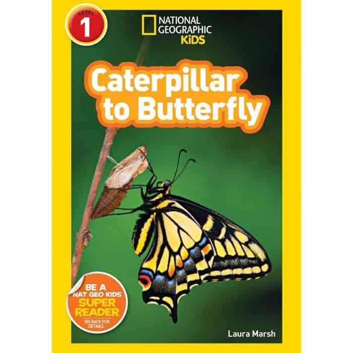 National Geographic book Caterpillar to butterfly