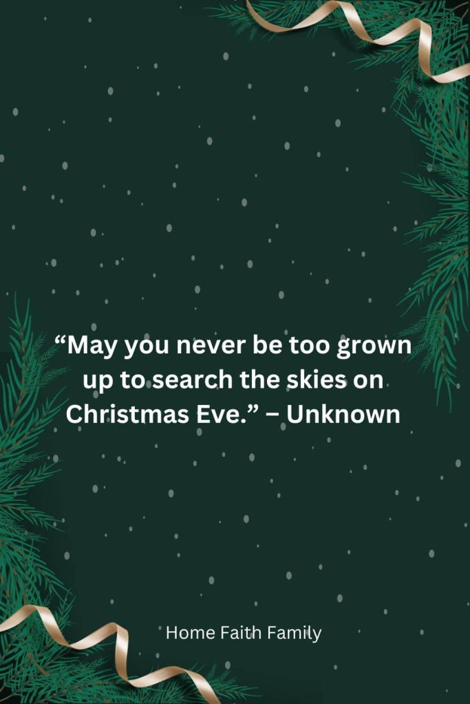 Searching the Christmas skies quotes by unknown author.