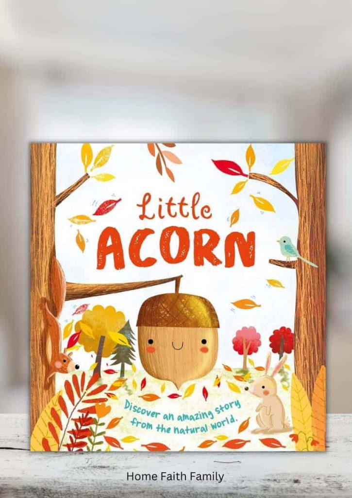 Little Acorn thanksgiving preschool book