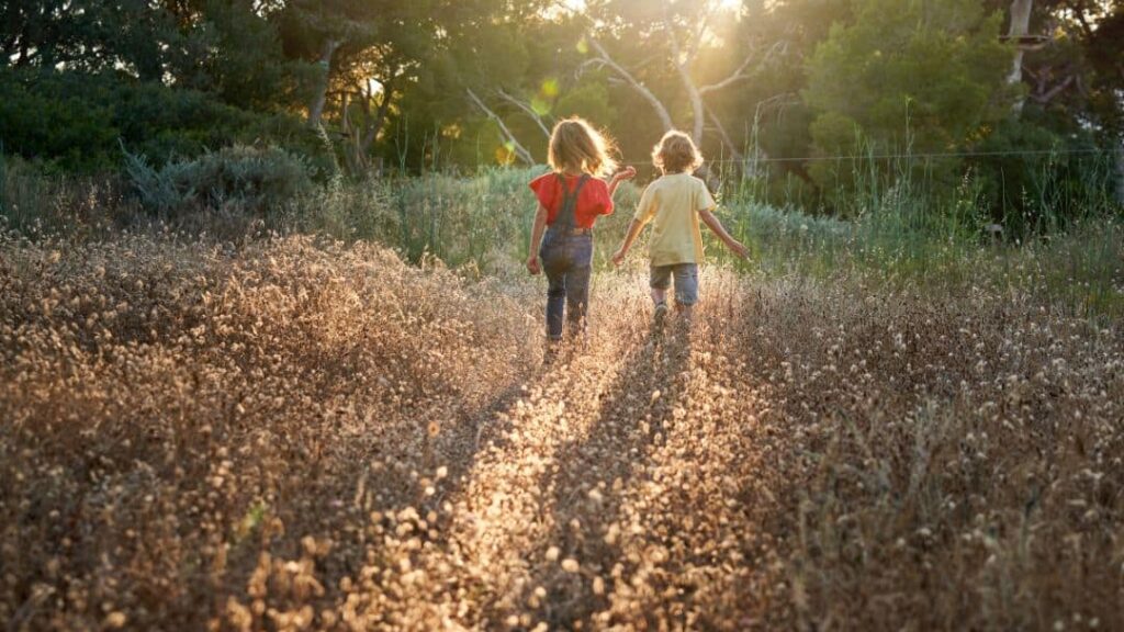 Two children, one in a red shirt and one in a yellow shirt, walk through a sunlit, grassy field with tall, dry plants—an ideal setting for summer activities for kids—surrounded by lush green trees in the background.