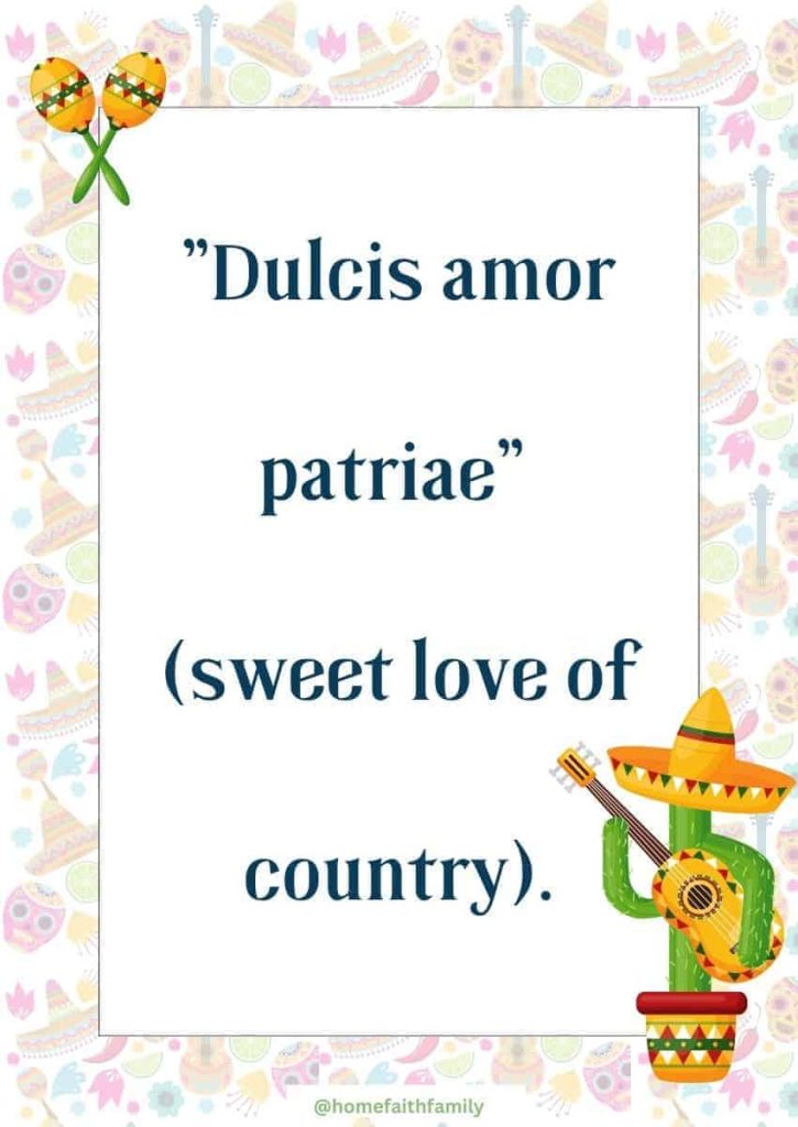 Short Cinco de Mayo Quotes For Social Media for free