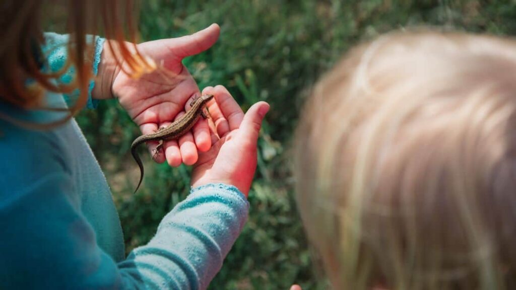 Two children outdoors enjoy summer activities for kids—one gently holds a small lizard while the other watches closely. The grassy background is soft and out of focus.