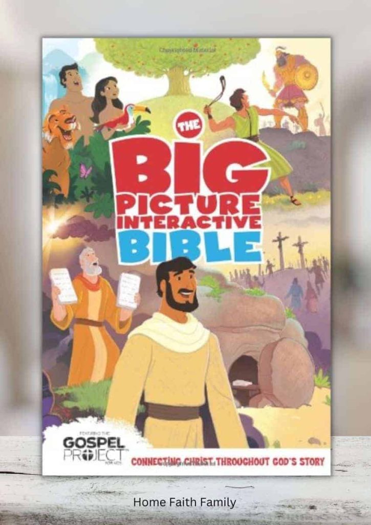 THE BIG PICTURE INTERACTIVE BIBLE