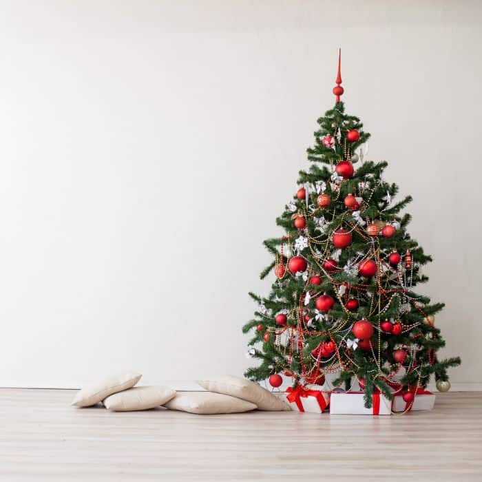 A minimalistic Christmas tree with a few presents and pillows on the ground.