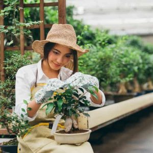 Best gardening mother's day gifts