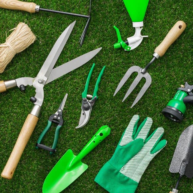 Best gardening tools gifts this year.