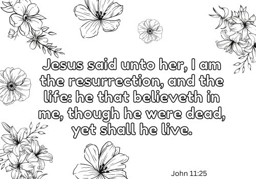 An inspirational Bible coloring page for adults, featuring a delicate floral illustration, depicting a verse from John 11:25: "Jesus said unto her, I am the resurrection, and the life."