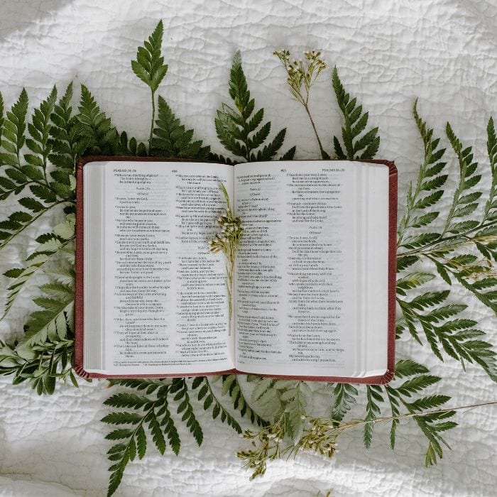 Bible laying open on a table with palm leaves.