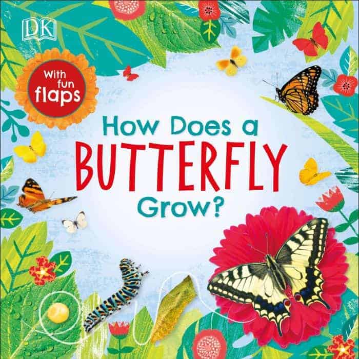 How does a butterfly grow book