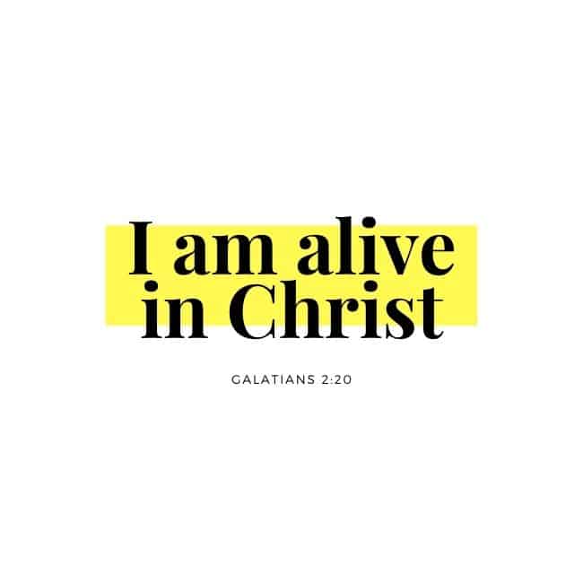 In Christ I am made alive.