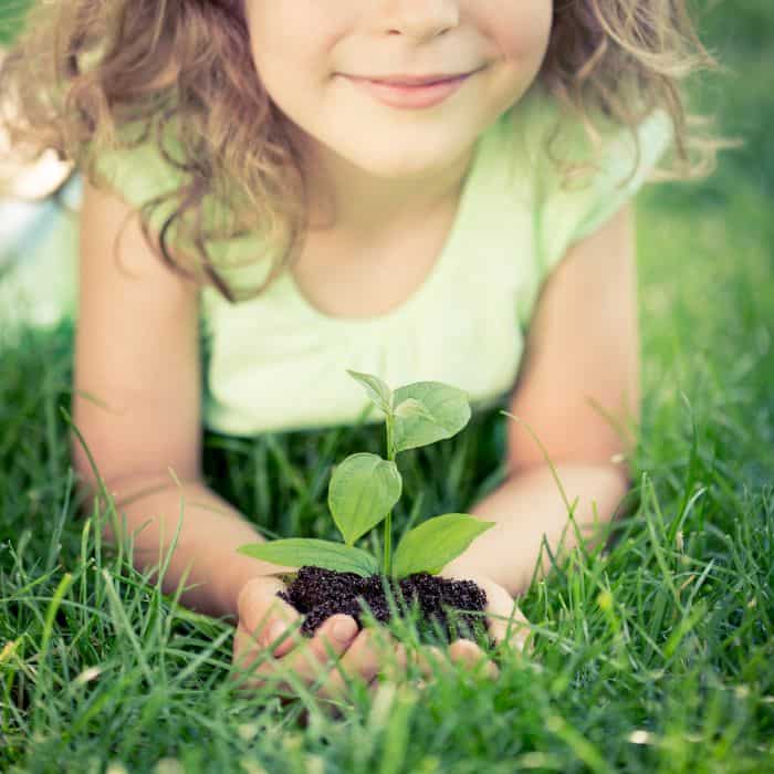A little girl holding a seedling in her hands.